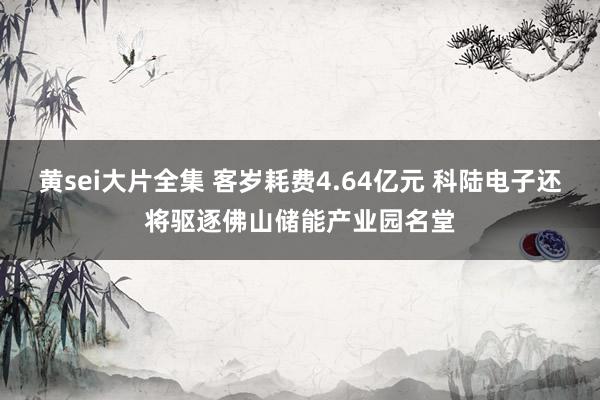 黄sei大片全集 客岁耗费4.64亿元 科陆电子还将驱逐佛山储能产业园名堂