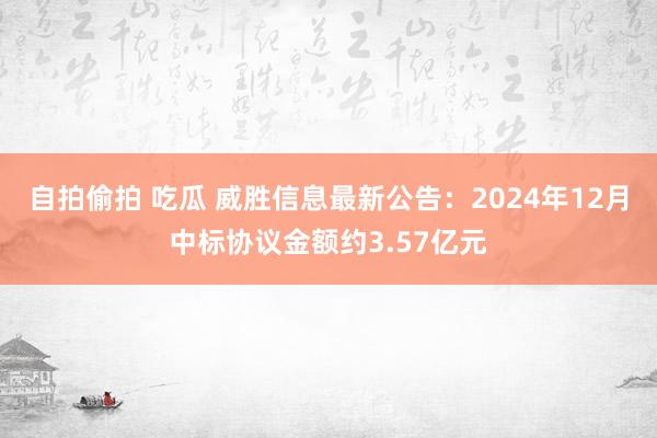 自拍偷拍 吃瓜 威胜信息最新公告：2024年12月中标协议金额约3.57亿元
