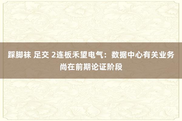 踩脚袜 足交 2连板禾望电气：数据中心有关业务尚在前期论证阶段