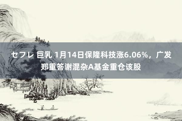 セフレ 巨乳 1月14日保隆科技涨6.06%，广发郑重答谢混杂A基金重仓该股