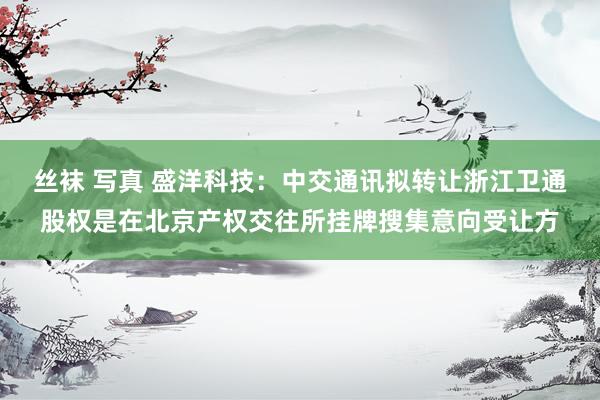 丝袜 写真 盛洋科技：中交通讯拟转让浙江卫通股权是在北京产权交往所挂牌搜集意向受让方