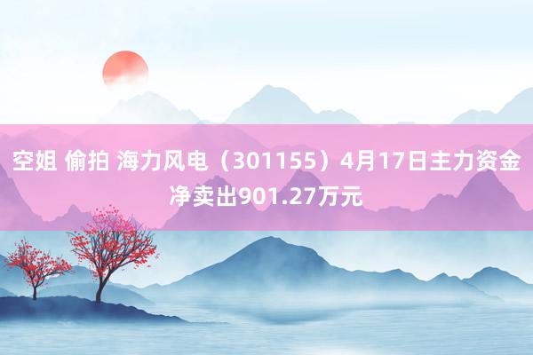 空姐 偷拍 海力风电（301155）4月17日主力资金净卖出901.27万元