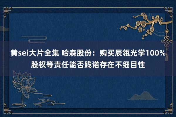 黄sei大片全集 哈森股份：购买辰瓴光学100%股权等责任能否践诺存在不细目性