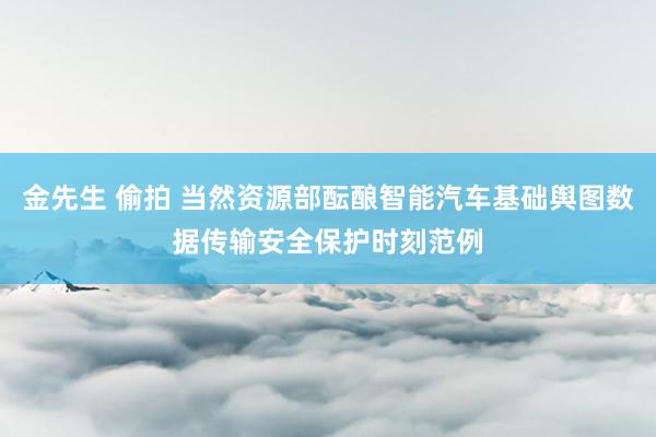 金先生 偷拍 当然资源部酝酿智能汽车基础舆图数据传输安全保护时刻范例