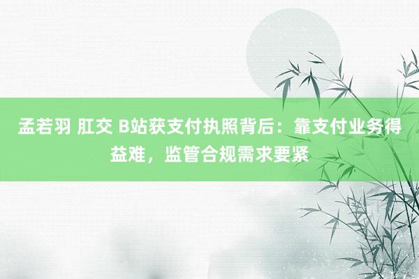 孟若羽 肛交 B站获支付执照背后：靠支付业务得益难，监管合规需求要紧