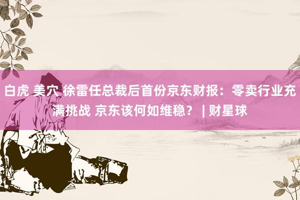 白虎 美穴 徐雷任总裁后首份京东财报：零卖行业充满挑战 京东该何如维稳？ | 财星球