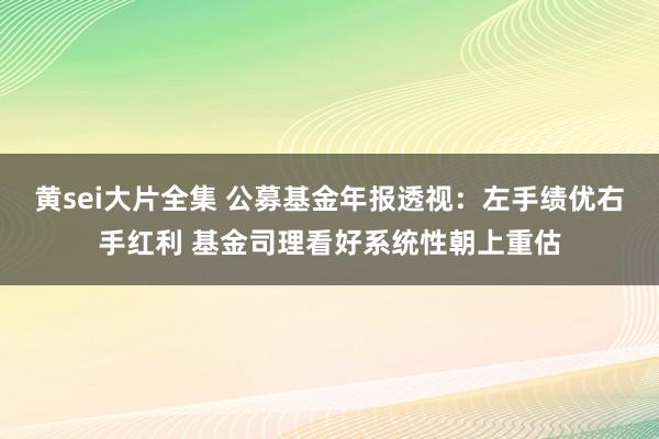 黄sei大片全集 公募基金年报透视：左手绩优右手红利 基金司理看好系统性朝上重估