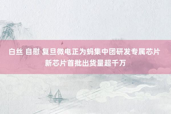 白丝 自慰 复旦微电正为蚂集中团研发专属芯片 新芯片首批出货量超千万