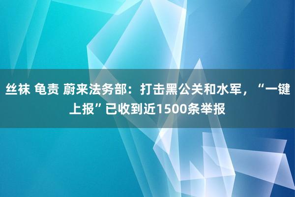 丝袜 龟责 蔚来法务部：打击黑公关和水军，“一键上报”已收到近1500条举报