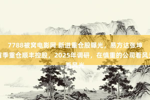 7788被窝电影网 新进重仓股曝光，易方达张坤首季重仓顺丰控股，2025年调研，在慎重的公司看风光