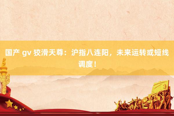 国产 gv 狡滑天尊：沪指八连阳，未来运转或短线调度！