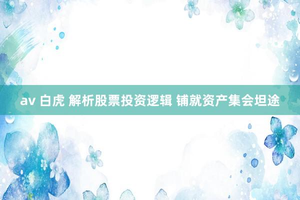 av 白虎 解析股票投资逻辑 铺就资产集会坦途