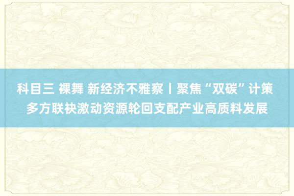 科目三 裸舞 新经济不雅察丨聚焦“双碳”计策 多方联袂激动资源轮回支配产业高质料发展